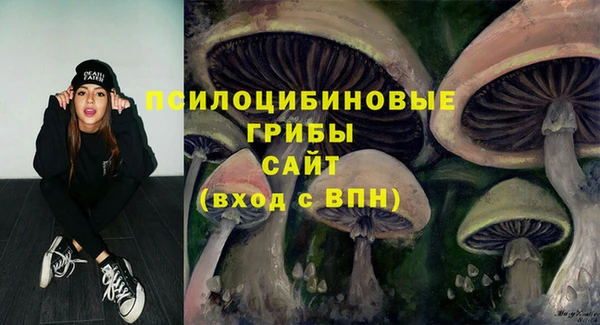 спайс Алзамай