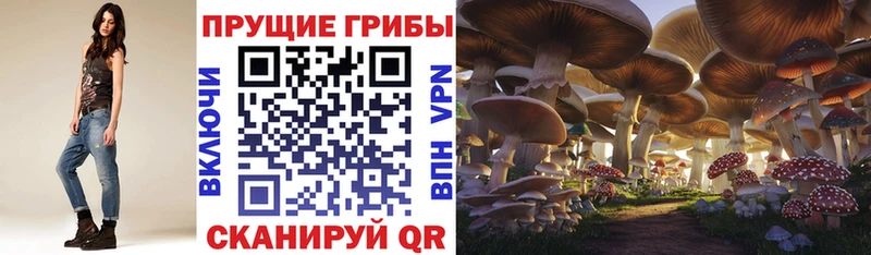 наркошоп Лихославль Псилоцибиновые грибы мухоморы
